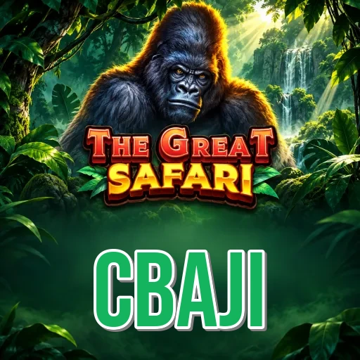 Step-by-Step Install Guide - cbaji