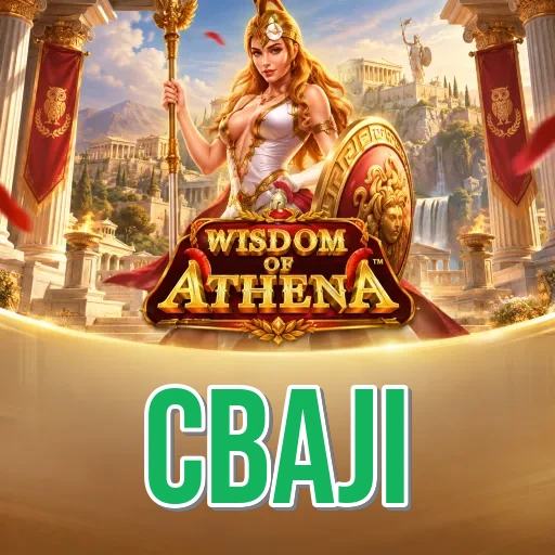 Installation Guide - cbaji Expert Tutorial